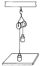 1888_A single fixed pulley.png